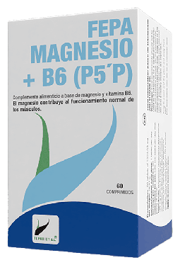 Magnesium + B6 60 Kapslar