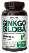 Ginkgo Biloba 60+30 kapslar