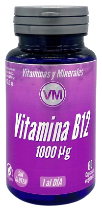 Vitamin B12 1000 mg 60 Kapslar