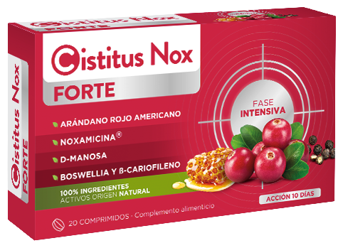 Nox Forte Probiotika 10 kuvert