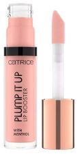 Plump It Up Lip Booster 3,5 ml