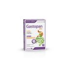 Gastopan Plus 30 tabletter