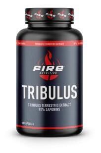 Tribulus Terrestris 90 % saponiner 60 kapslar