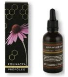 Echinacea-Propolis Extrakt 50 ml