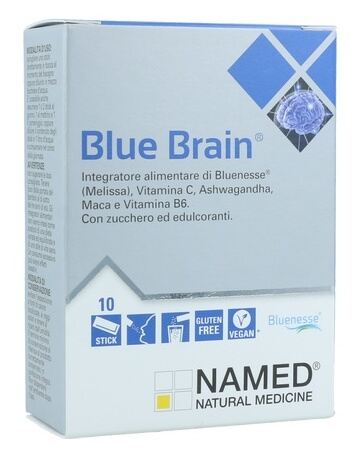 Blue Brain 10 pinnar