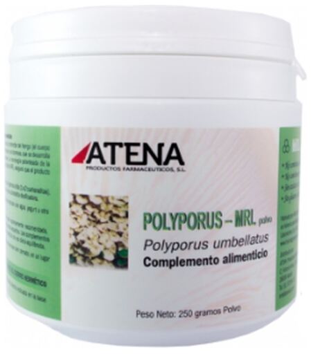 Polyporus-Mrl Pulver 250 gr