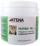 Polyporus-Mrl Pulver 250 gr