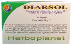 Diarsol 60 tabletter