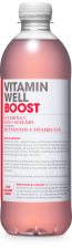 Blueberry Boost Vitamin Drink 500 ml