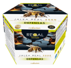 Regal Bee Defenses Royal Jelly 2000 20 flaskor