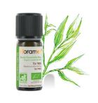 Tea Tree eterisk olja 10 ml Bio