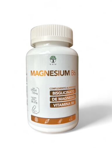 Magnesium B6 120 kapslar