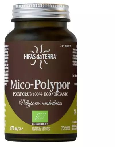 HDT Mico Polypor Polyporus HDT 70 kapslar